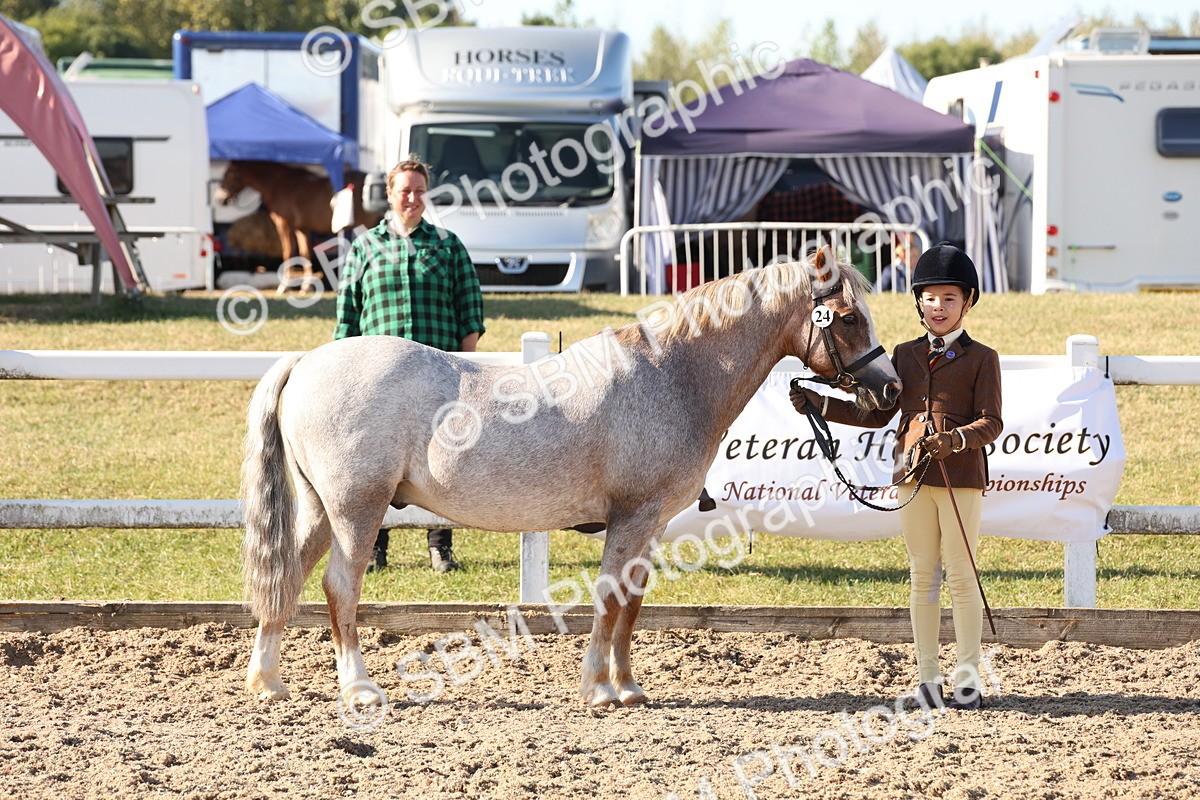 SBM_11659 - Class 203 - Young Handler 11 to 16 years