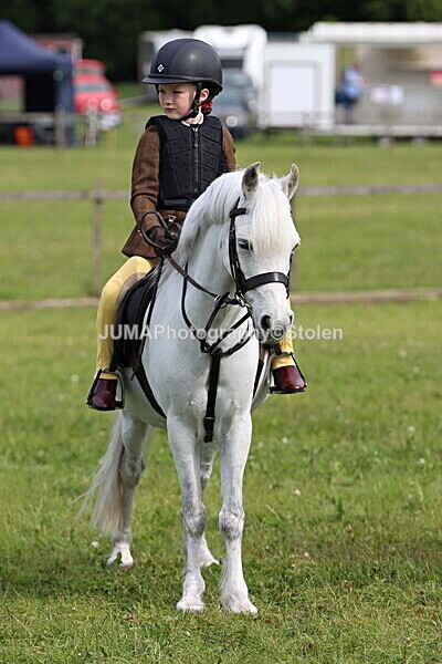IMG_2285 - Working Hunter