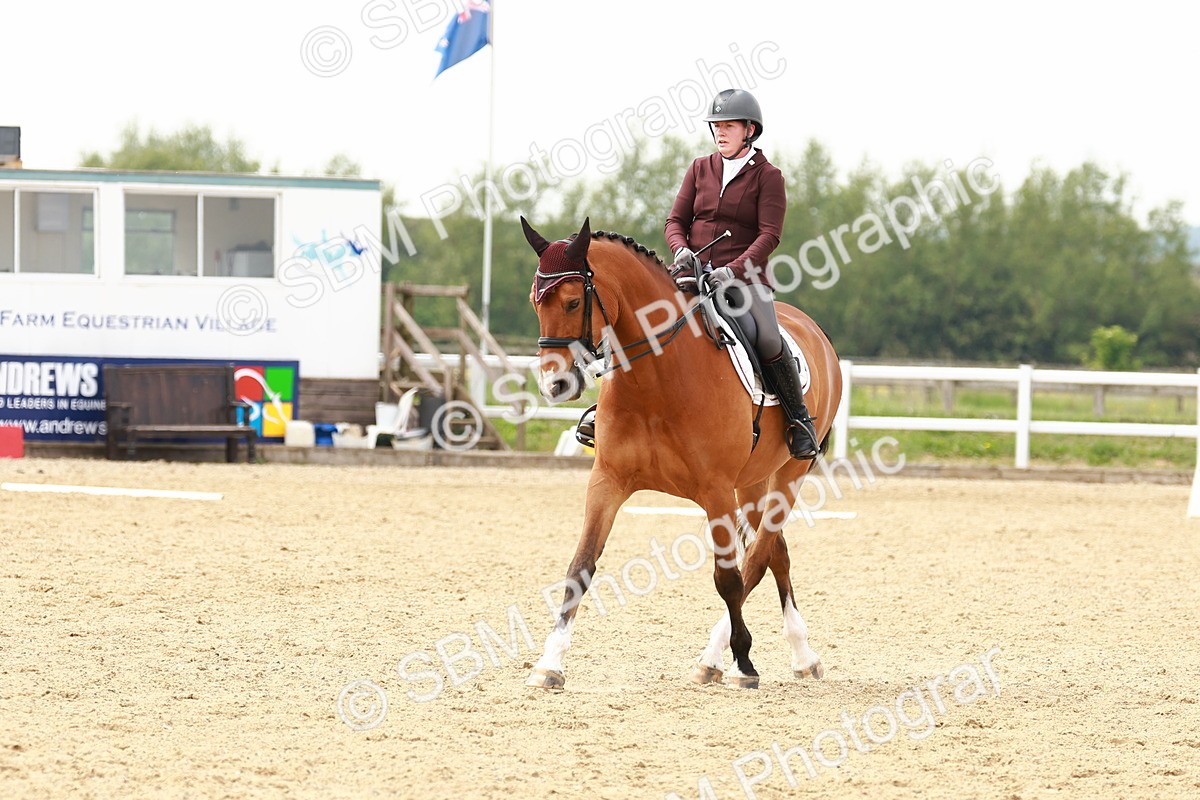 SBM_002802 - Class 12 - Medium 4