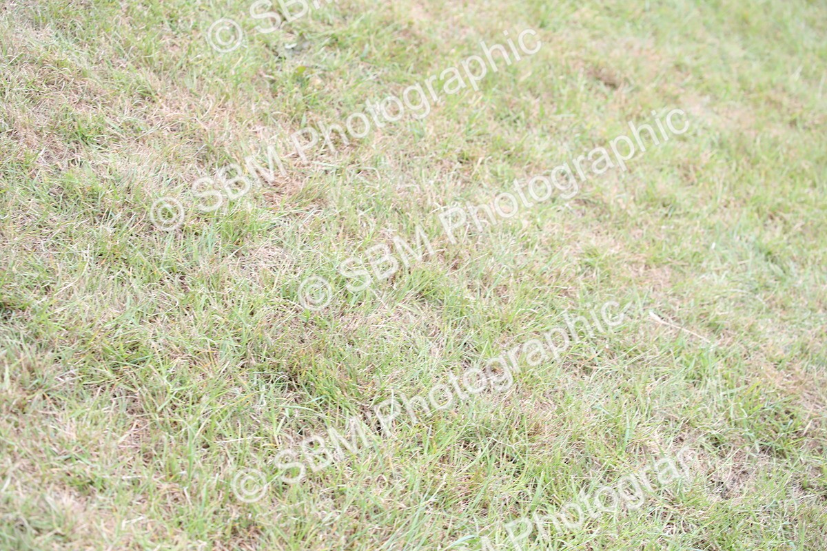 SBM_05949 - Class 12-15 - HOYS Private Driving