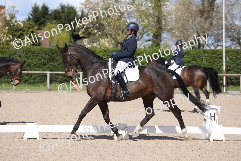 20260405-0570 - Class 7 - Medium 5