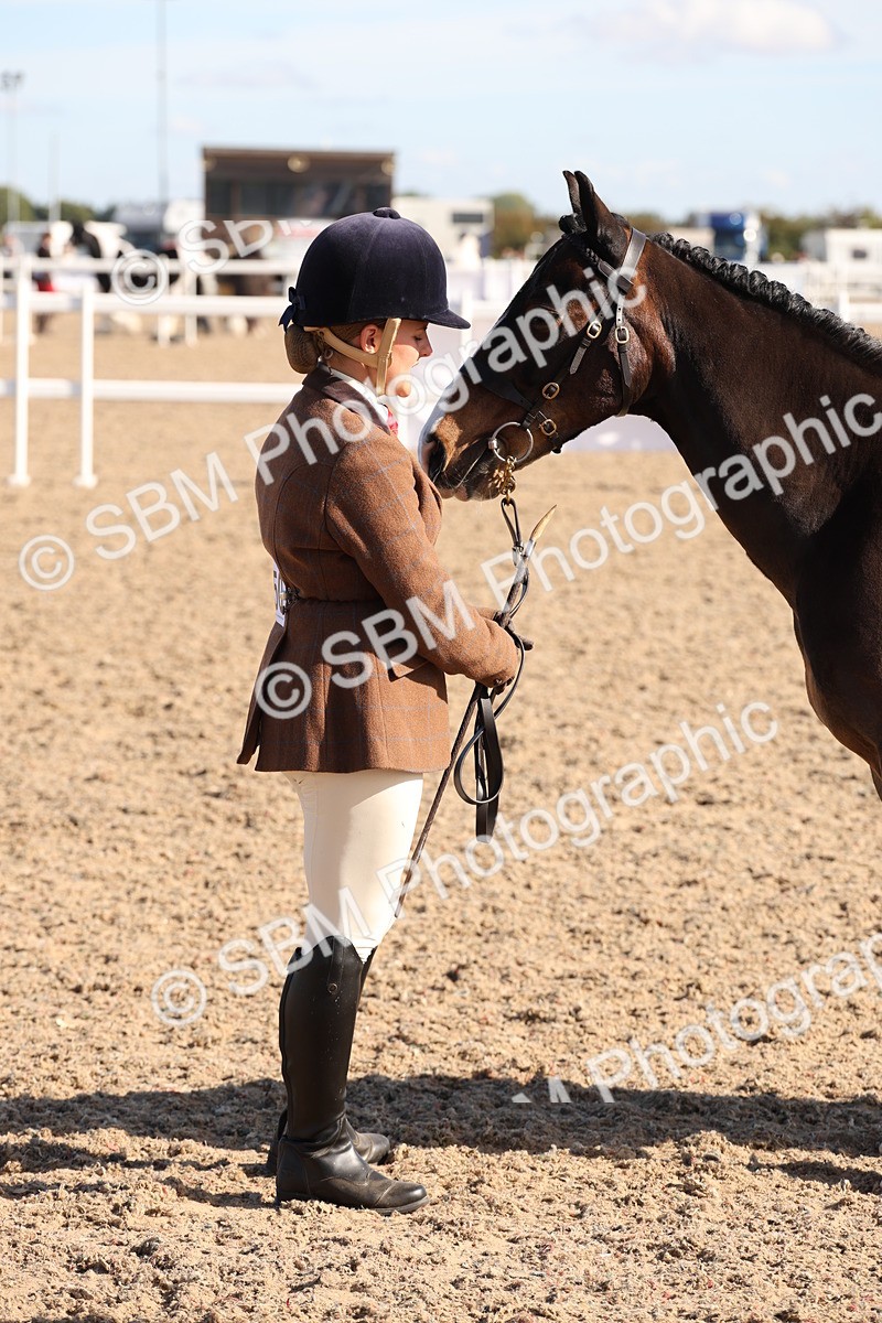SBM_12840 - Class 205 - IH Show Pony - Show Hunter Pony