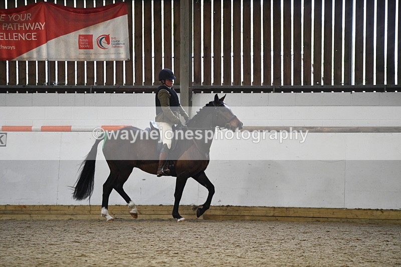 WJ5_7957 - Class 13 Ridden Part Breed