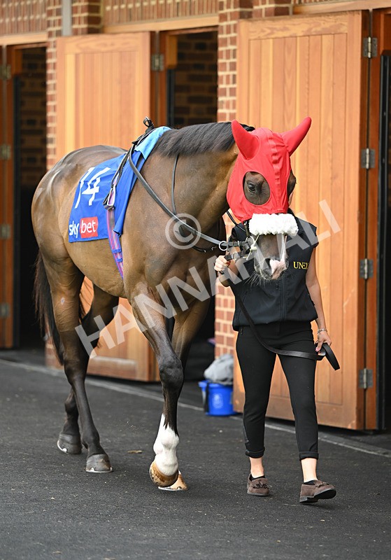 220826-190 Burdett Road - Race 4 15.35pm Sky Bet Ebor Handicap