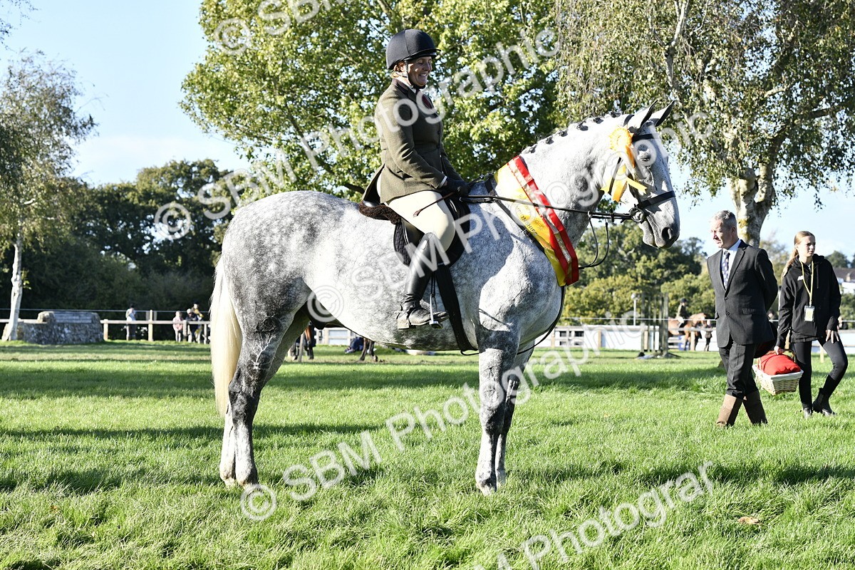 SBM_51737 - Working Hunter Supreme Championship