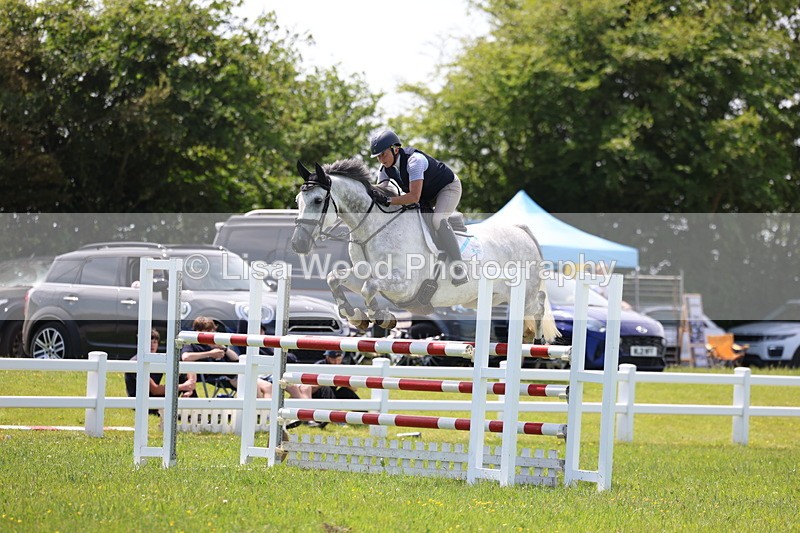 3E7A1340 - Class 12: Senior Foxhunter/1.20 open
