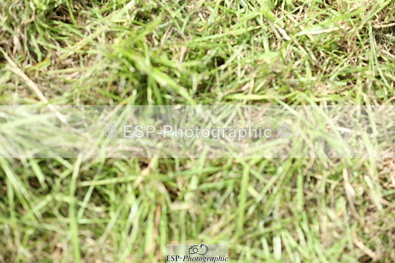 230820A-134200-00284 - Cls 2 Discovery & Open