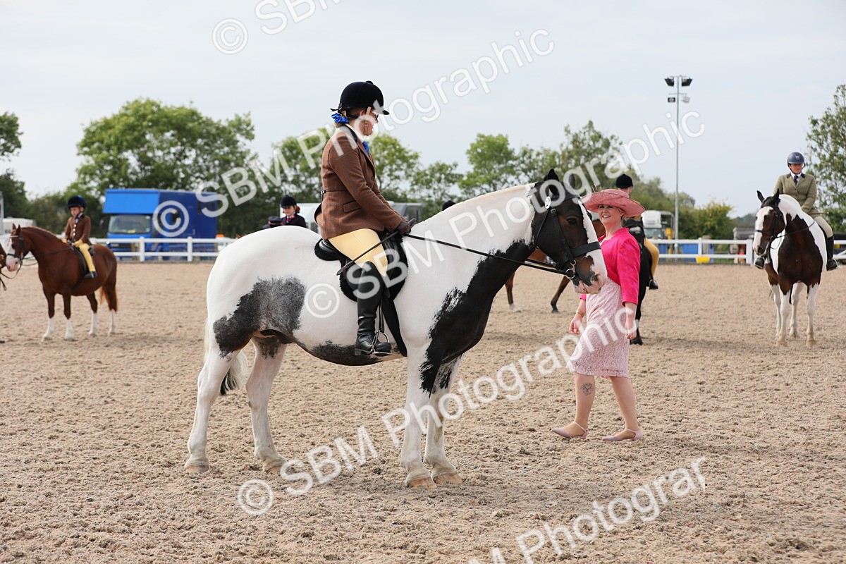 SBM_16965 - Class 314 Family Horse/Pony