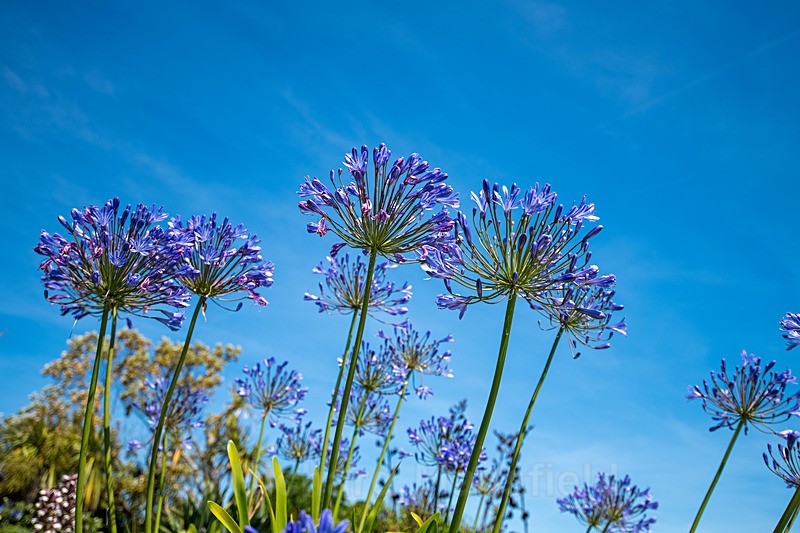  - Scilly