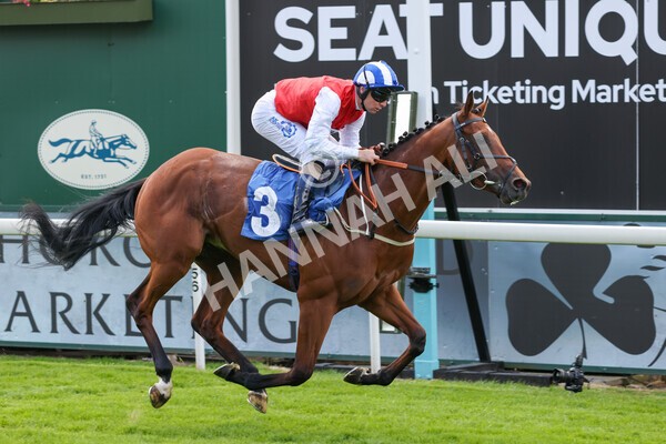 yr10062022r2-19 - Race 2 2.30pm SKF Rous Selling Stakes