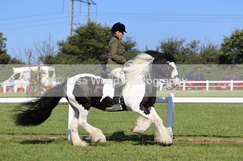 IMG_1490 - Class 30: Ridden Native/Trad Coloured Pony