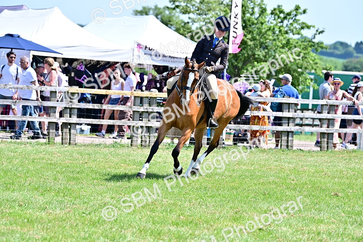 SBM_15356 - Class 95-97 - BSPS LHS Performance Ponies
