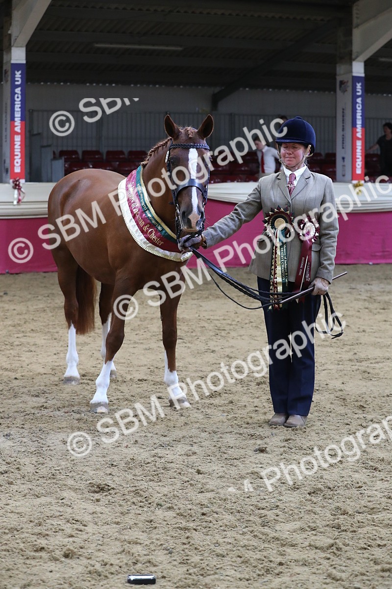 SBM_06568 - Regional IH Champ