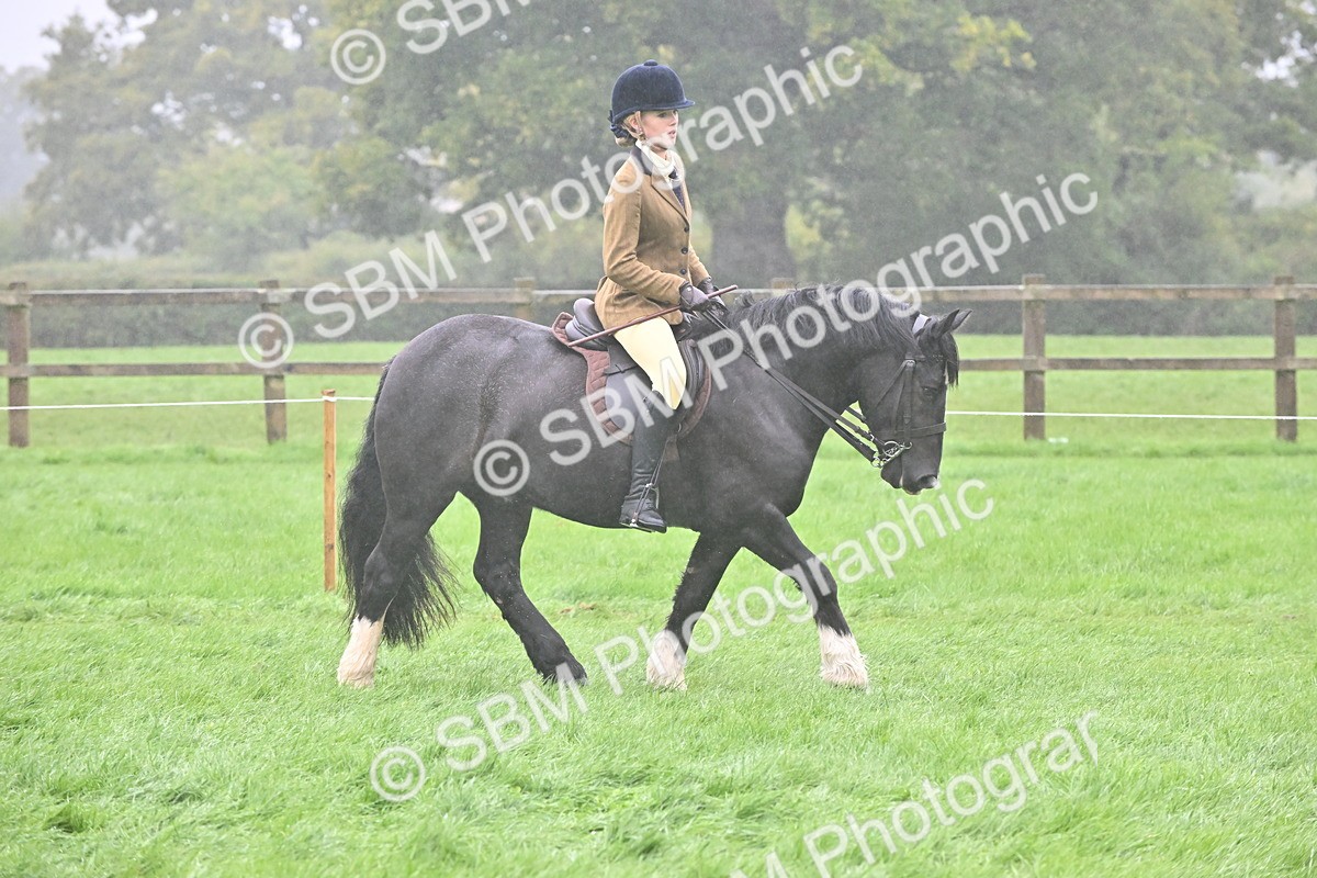SBM_72431 - S43 - Ridden Equitation Best Rider