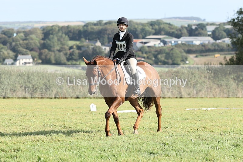JPP_8016 - Class 2A: Trekenning Open: Dressage