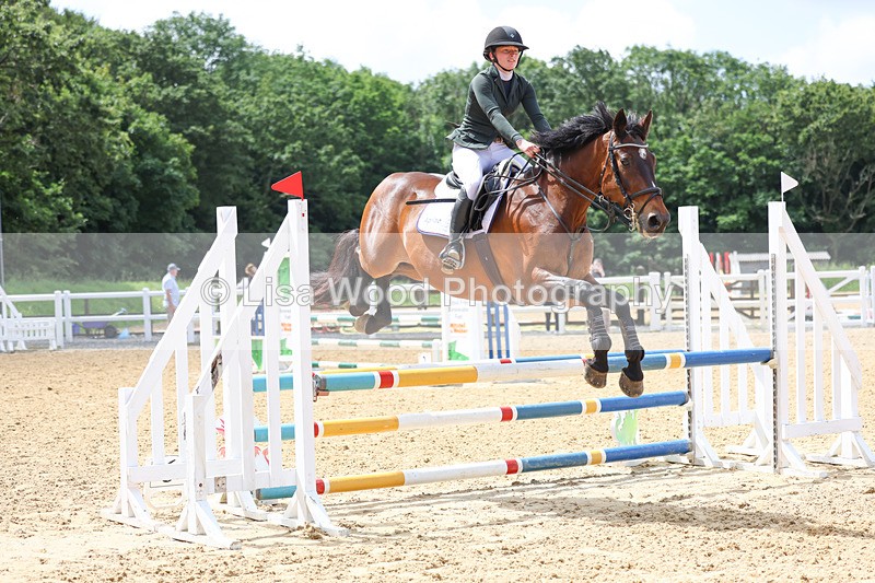 3E7A3275 - Class 4: Senior British Novice/90cm open