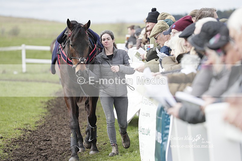 PtP 260323 0337 - New Forest Hounds Point-to-Point Larkhill 26/03/23