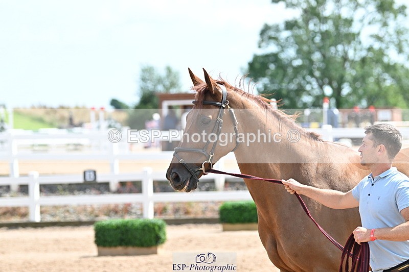 240717A-150003-02420 - Trot Up 3pm to 4pm