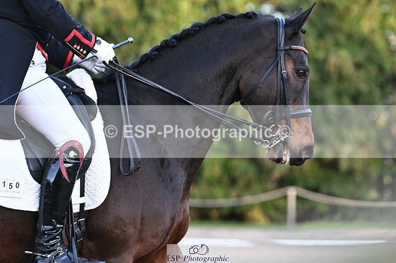 231110-154514-02312 - Cls 11 FEI PSG