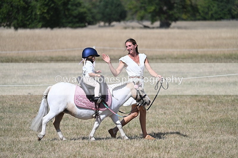 WJ7_1246 - Class 41 Prettiest Mare