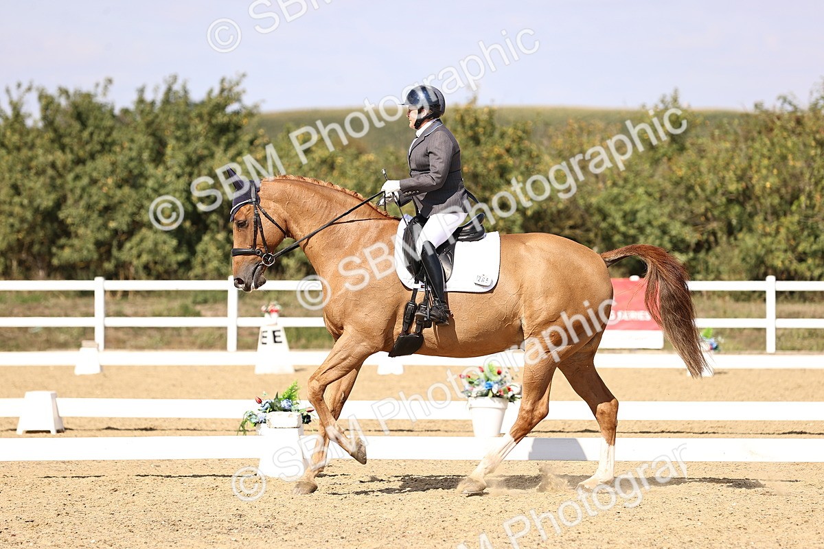 SBM_015092 - Class 6 - Elementary 5