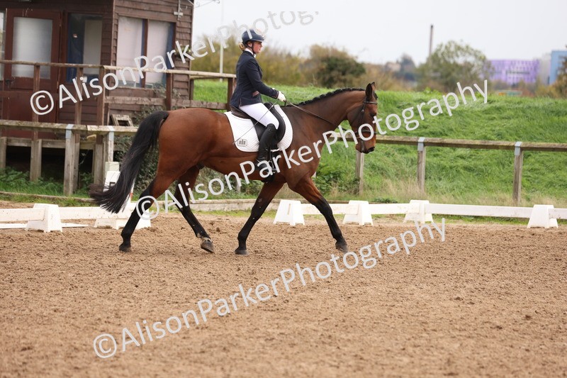 20251021-0511 - Class 5 - Novice 2