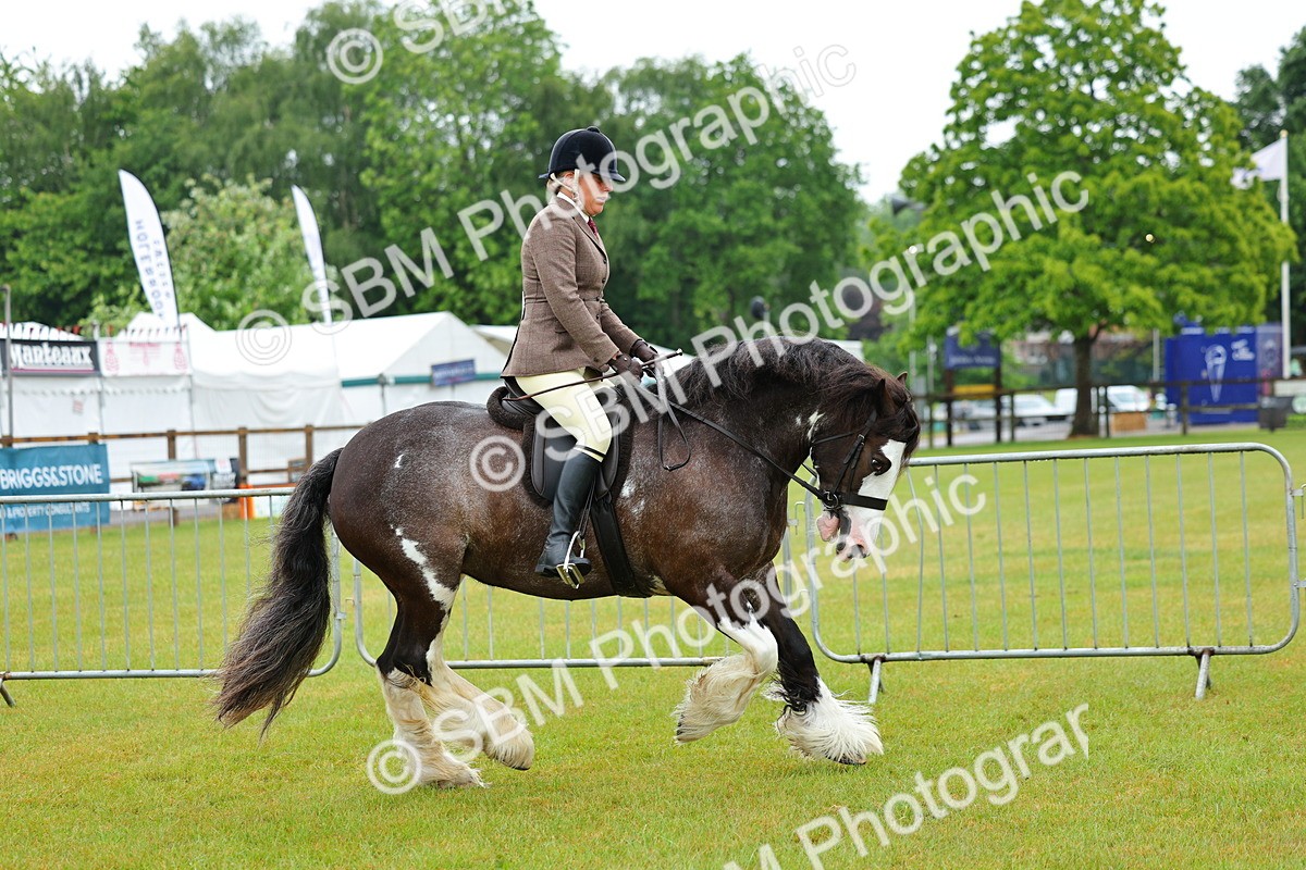 SBM_00904 - Class 1-4 - BSPA Ridden