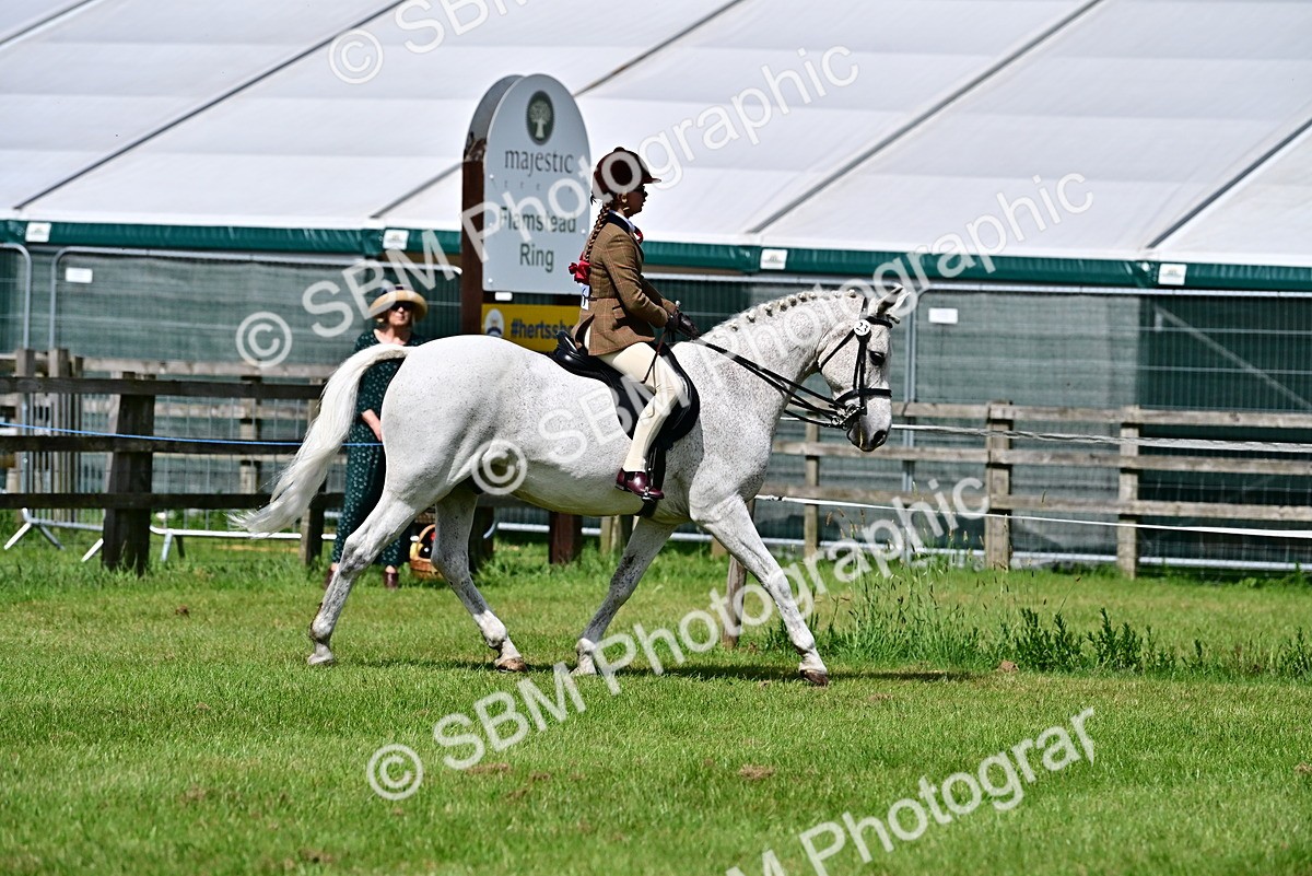 SBM_03720 - Class 58 - TSR  Ridden Veteran Amateur of the year