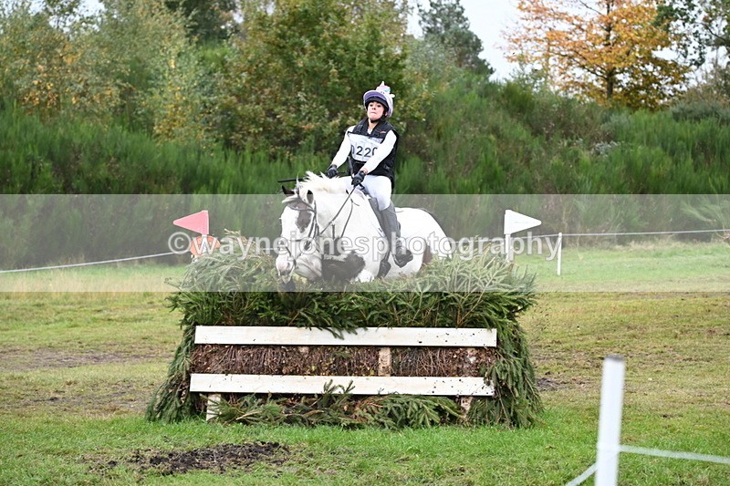 WJ6_3497 - 90cm Cam 1 Time 13:07 to 13:34