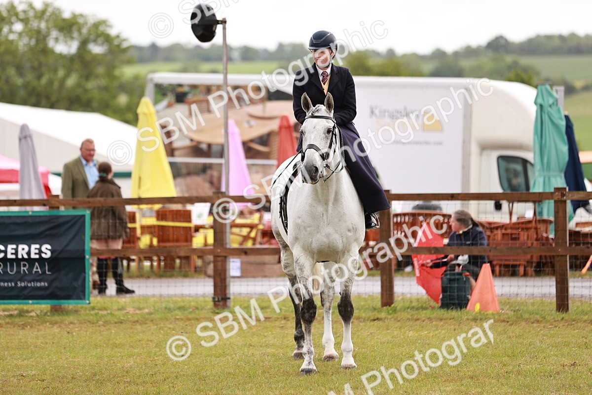 SBM_11008 - Class 81-84 - RIHS Ridden hunters Inc Ladies Hunter
