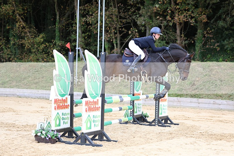 3E7A2233 - Class 4: Senior British Novice/90cm open