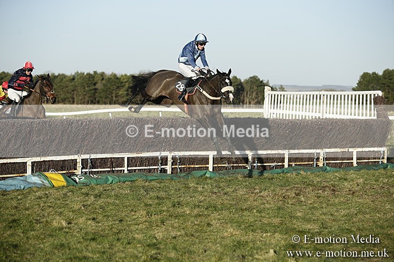 PtP 070118 -601 - Larkhill Racing Club Point to Point Larkhill 07/01/2018