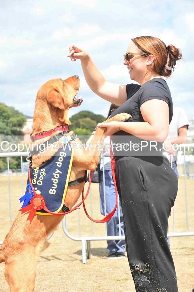 SH4_0259 - Dog show.