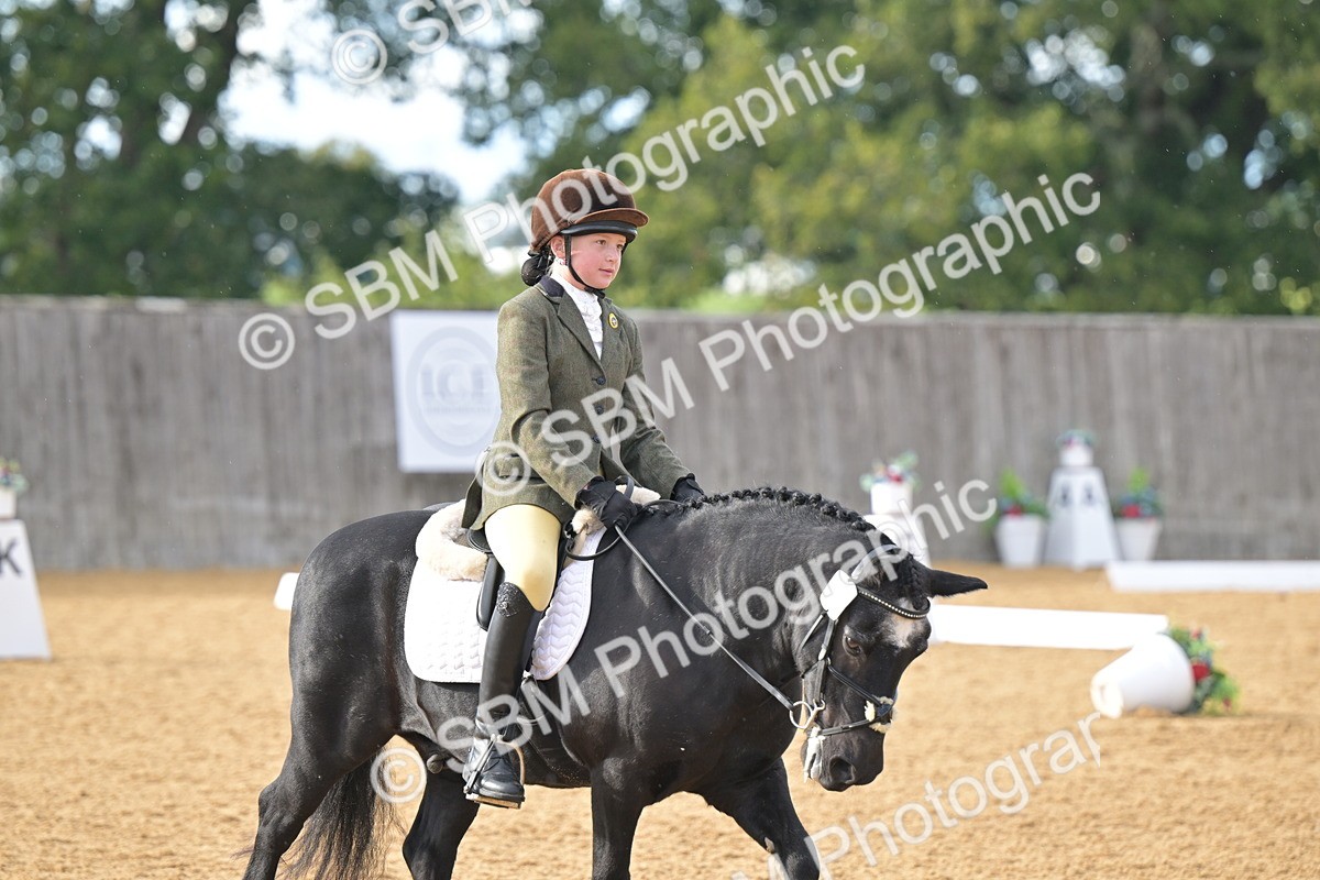 SBM_12911 - D3 - Small Tour Championship Intro 3