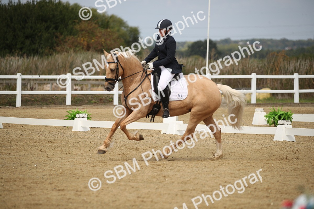 SBM_001373 - Class 2 - Pelim 5 - 11.36.12.32