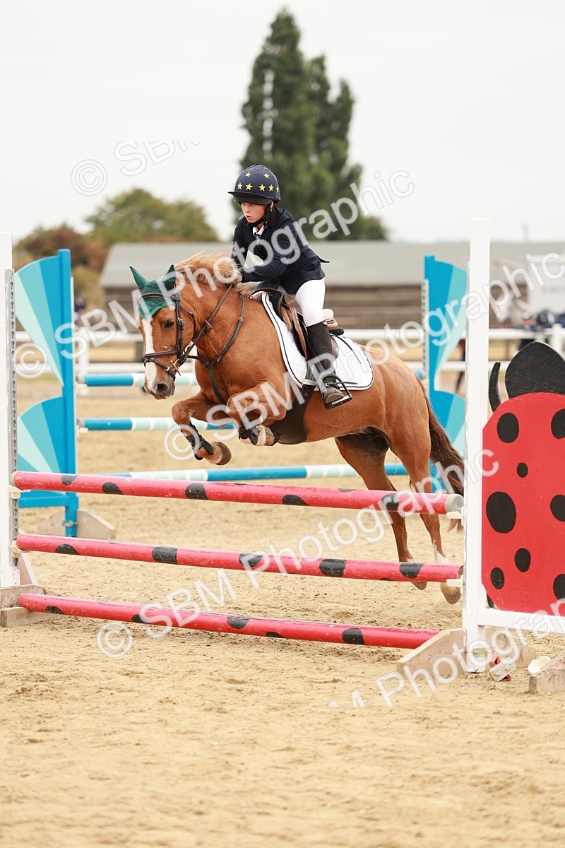 SBM_008281 - Class 5 - 80cm