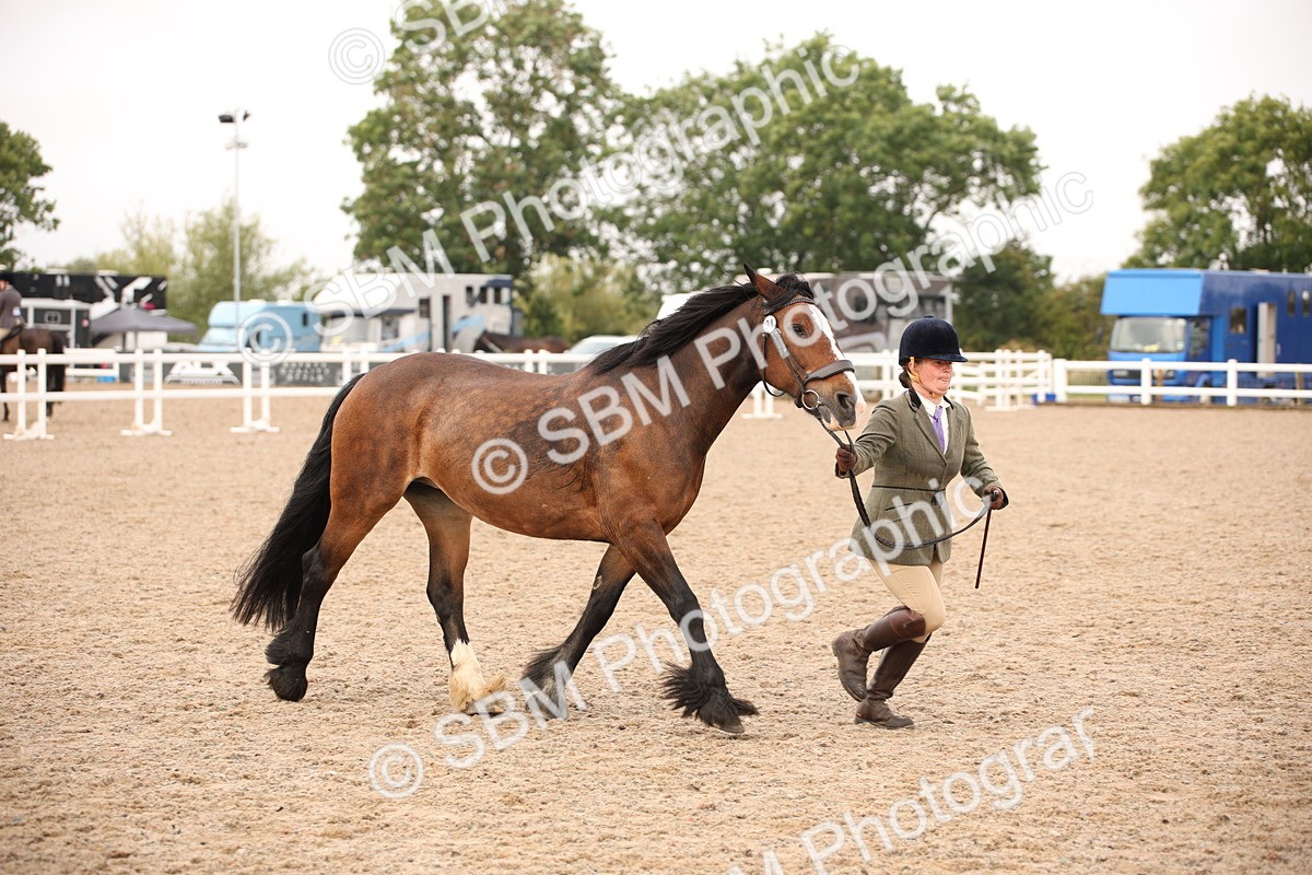 SBM_21492 - Class 706 - IH  Veteran