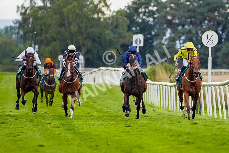 050926-Race 6-High Storm-1 - Race 6 4.25pm Calverts Carpets Hambleton Cup Handicap