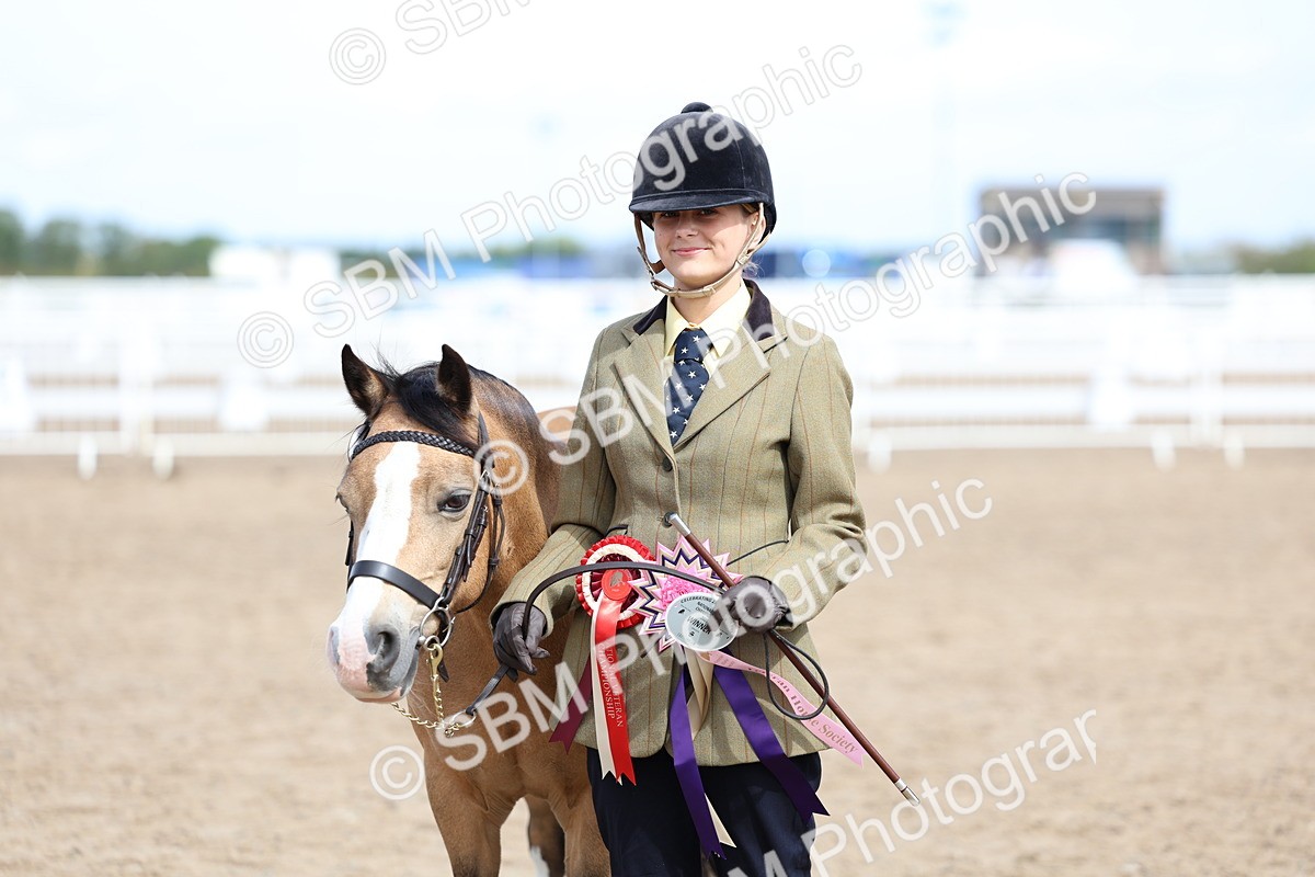 SBM_02401 - Class 19 - Horse or Pony Judge would most like to take home