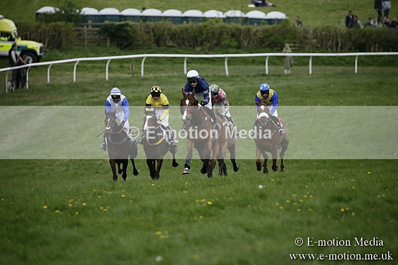 PtP 170417 527 - Old Berks Point-to-Point Lockinge 17/04/17