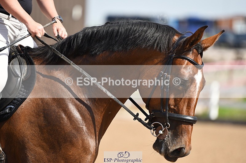 230906A-124100-00284 - Newcomers & 1.10m Open