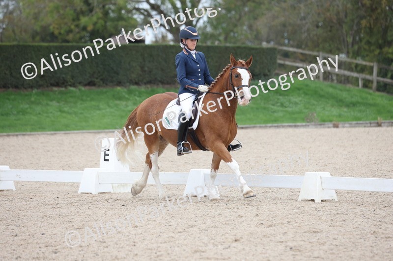 20251011-0403 - Class 4 - Novice 2