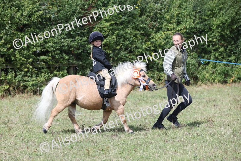 20250831-2782 - Class 17 - Lead Rein Pony