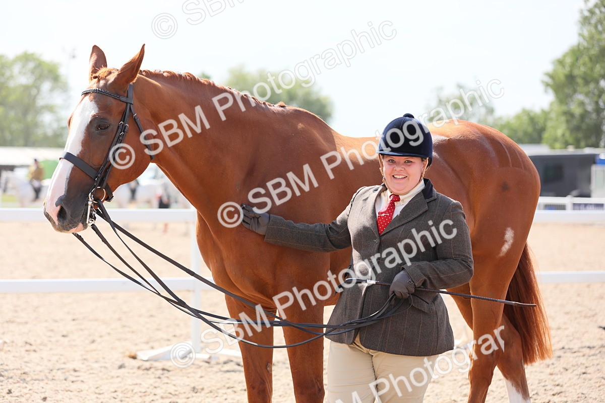 SBM_15782 - Class 312 IH Competition Horse/Pony