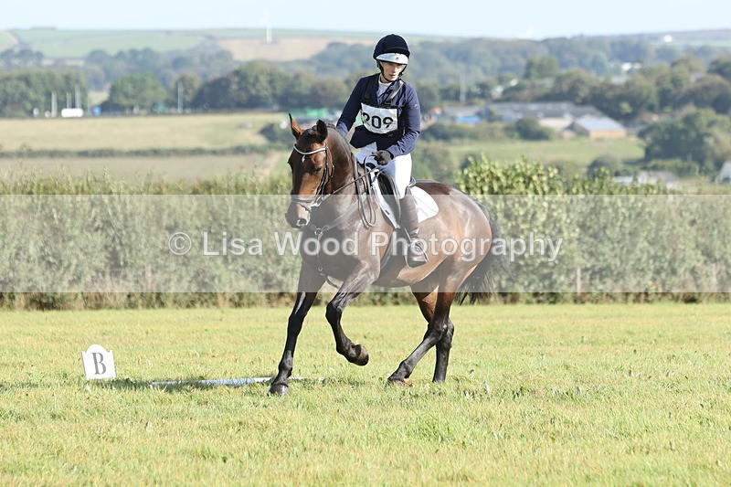 JPP_7993 - Class 2A: Trekenning Open: Dressage