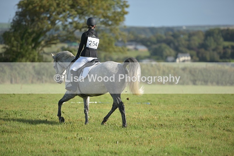RAY_7371 - Class 2B: Trekenning Open: Dressage