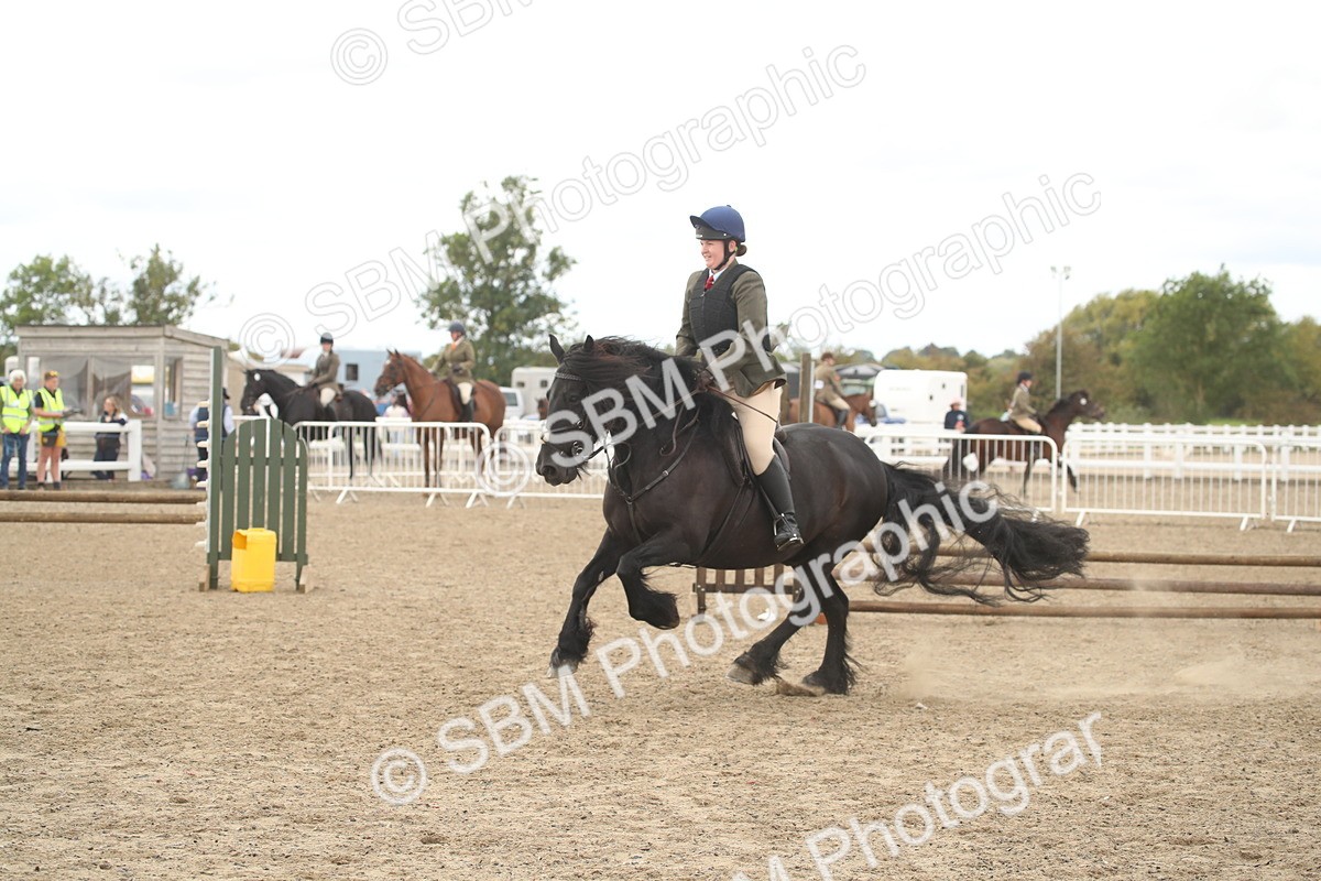 SBM_17724 - Class 508a - Working Veteran 70cm (15-19)