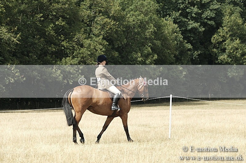 _PJP6046 - BVRC Show 2018 Ring 1