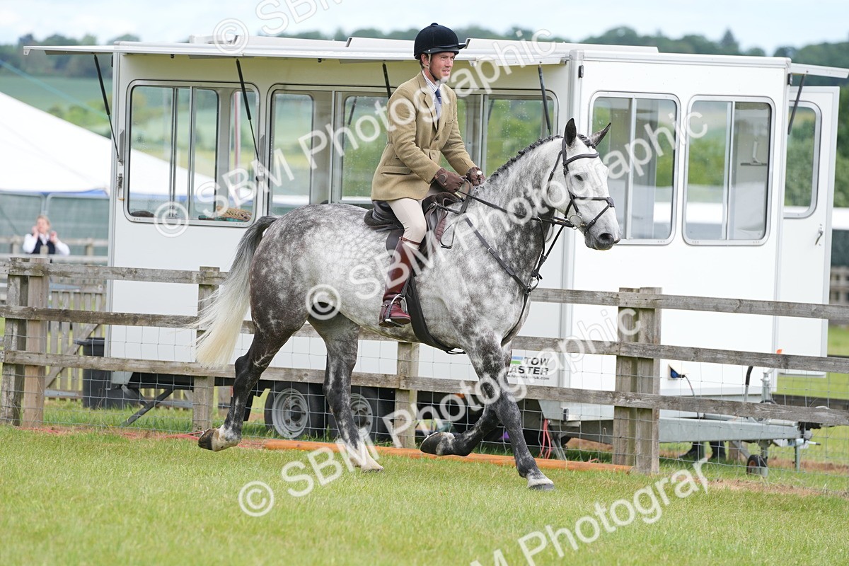 SBM_14869 - Class 100-102 - RIHS Working Hunter