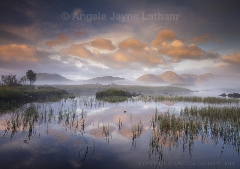 Sunrise on Rannoch Moor 3 - Highlands of Scotland